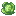 キャベツ