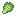 キャベツの葉