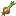タマネギ