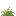 砂地の草