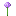 アリウム