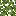 ツツジの葉