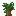 ダークオークの苗木