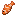 熱帯魚